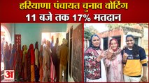 Haryana Panchayat Election Third Phase Voting Live|हरियाणा पंचायत चुनाव वोटिंग|Sarpanch Chunav