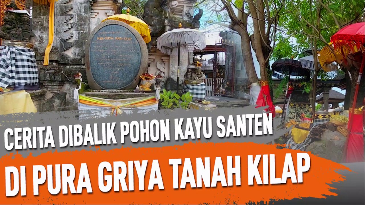 CERITA DIBALIK POHON KAYU SANTEN DI PURA GRIYA TANAH KILAP