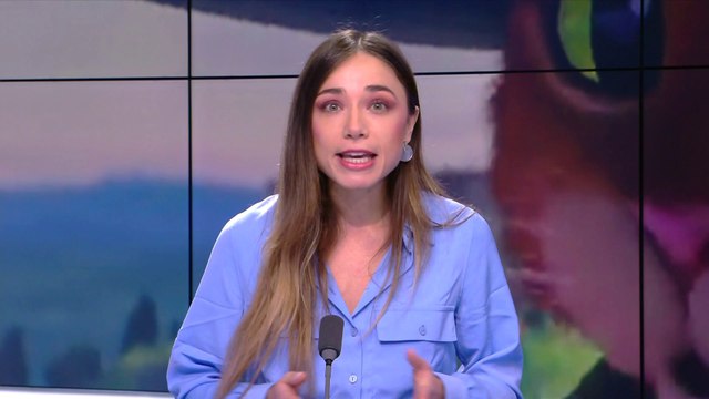 Culture : illuminations féeriques au Jardin des Plantes et «Le Chat Potté» en exclusivité au Grand Rex