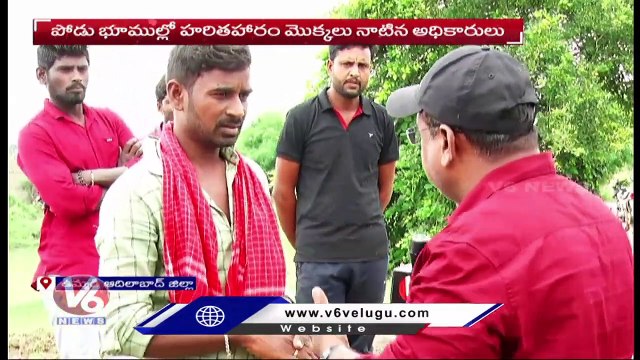 Ground Report_ Forest officials Plants Harithaharam Saplings In Podu Lands _ Adilabad _ V6 News