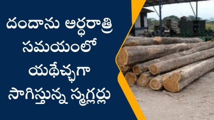 మంథని: అటవీ గ్రామాల్లో జోరుగా టేకు దుంగల దందా