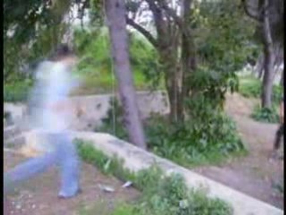 Sampler street stunts eagles wind