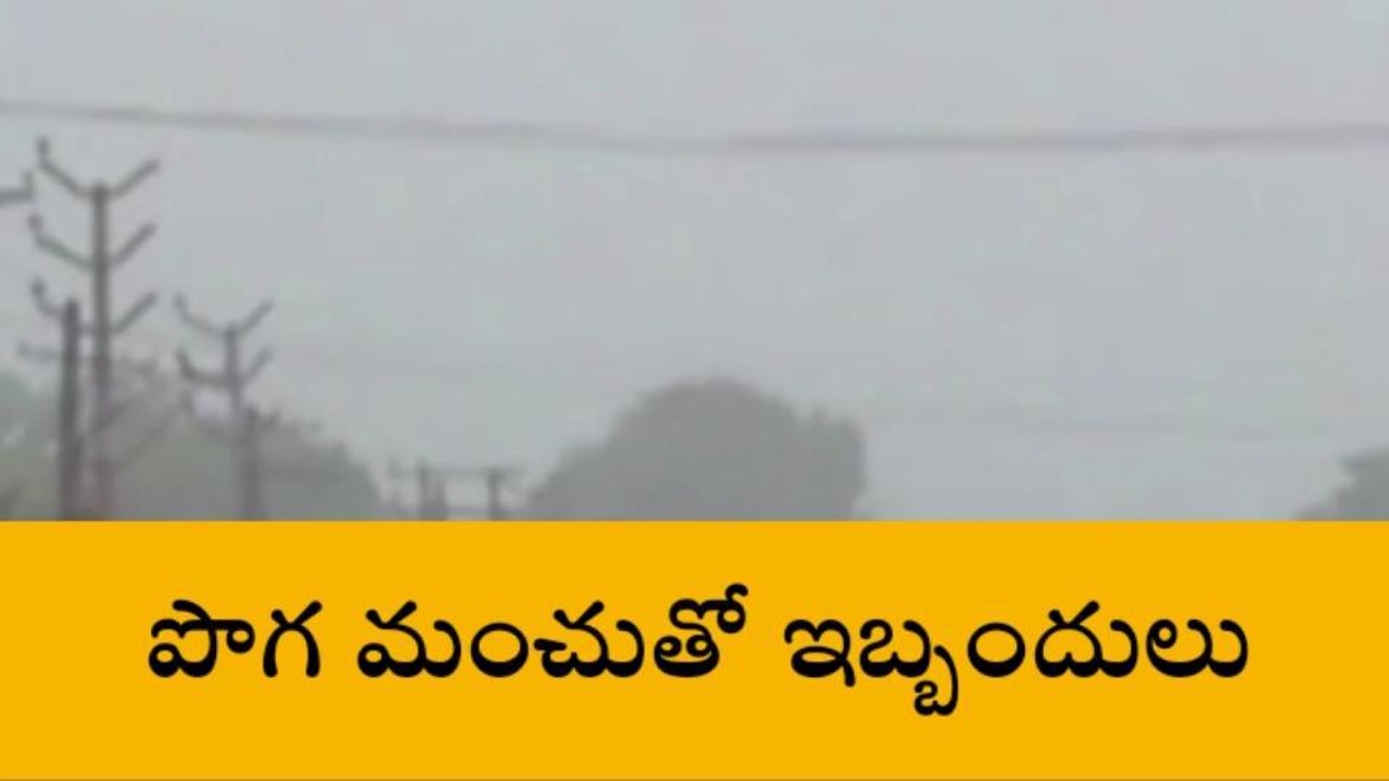 సూర్యాపేట: పెరిగిన చలి గాలులు.. పొగ మంచు తీవ్రత