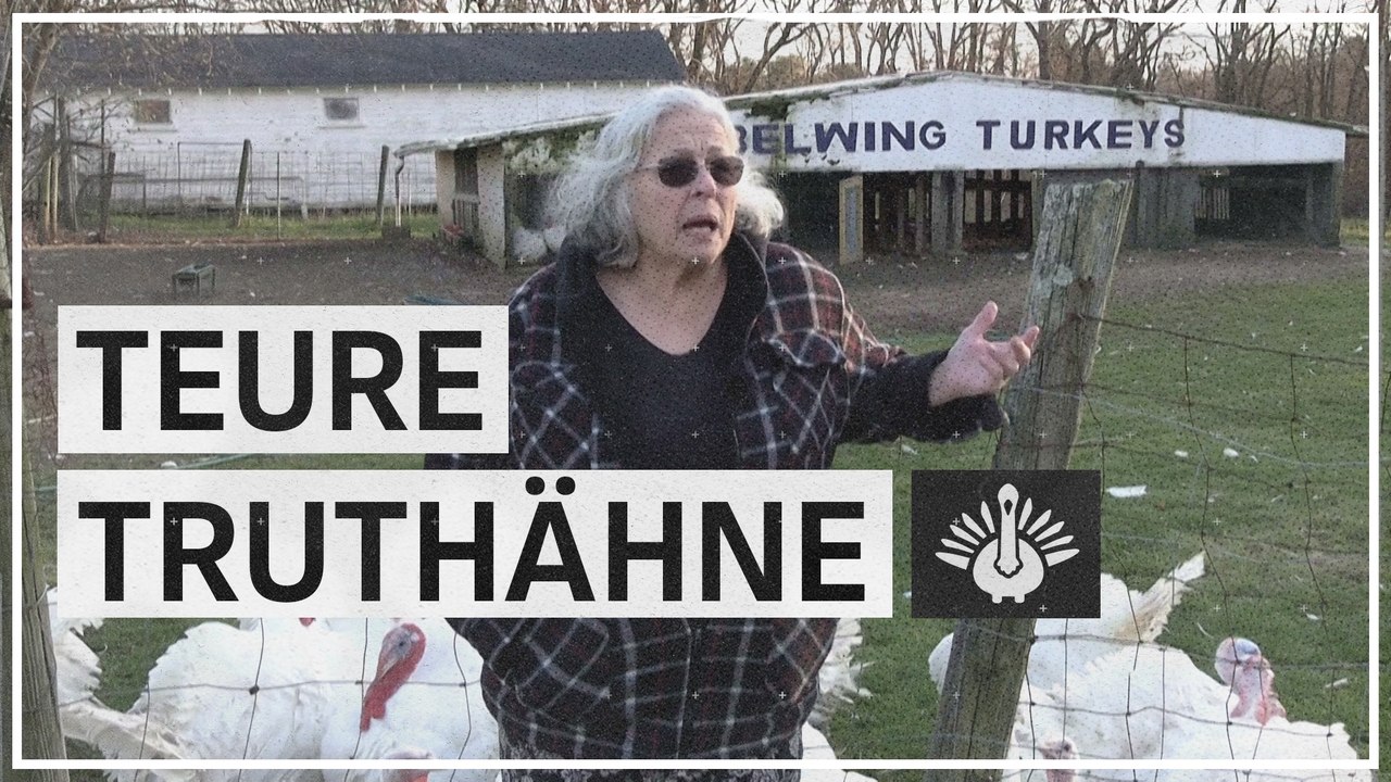 Truthahnkrise vor Thanksgiving: 'Die Preise sind astronomisch'