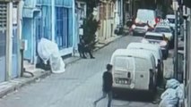 Anlaşmazlık yaşadığı arkadaşı tarafından Pitbull'lu saldırıya uğrayan adam köpeği camdan aşağı attı