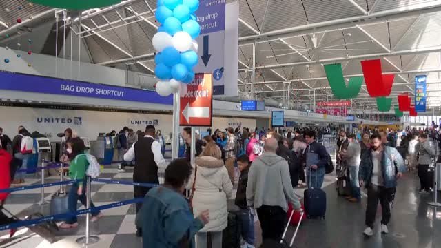 'Chocolate' y 'Chip' son los dos pavos indultados por Biden para Acción de Gracias este año