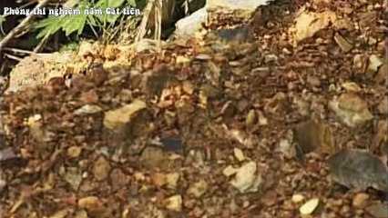 Du lịch sinh thái và giáo dục môi trường ở Vườn Quốc gia Cát Tiên