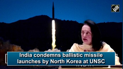 India condemns missile launches by N Korea at UNSC