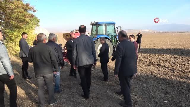 Amasya'da en verimli yerli ve milli buğday tohumunu belirlemek için 50 çeşit ekildi