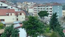 Pioggia e vento su Palermo con strade allagate e alberi caduti