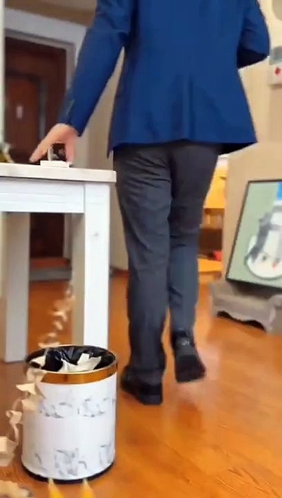 Best funny cat video