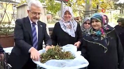 Nilüfer Belediyesi’nden kadın üreticilere 100 bin çilek fidesi