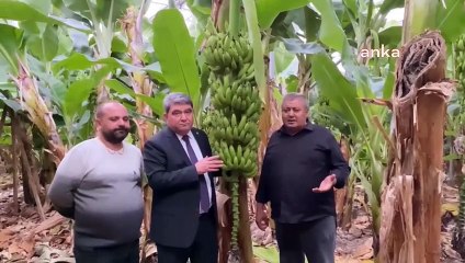 Üreticiler vahim tabloyu anlattı: "Maliyetine satamıyoruz"