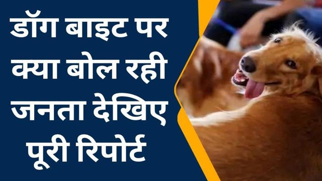 कन्नौज : आवारा या पालतू कुत्ते दोनों ही होते हैं खतरनाक‚ आइये जानते हैं कुत्तों के आतंक पर क्या कहती है जनता