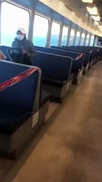 Funny Animal Videos 2022  shorts