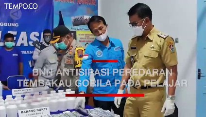 BNN Antisipasi Peredaran Tembakau Gorila di Kalangan Pelajar