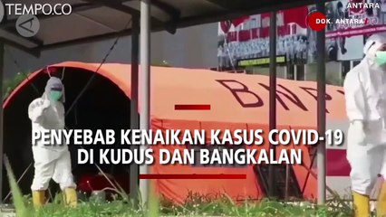 Klaster Keluarga dan Tradisi Kupatan Picu Kenaikan Kasus Covid-19 di Kudus dan Bangkalan
