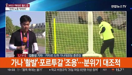 "손흥민 몸 상태는?"…H조 치열한 정보전