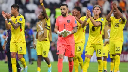 "WM-Start 2022" – Jetzt nichts mehr verpassen!