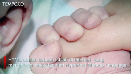 Ayah Kerja Jadi Web Developer, Namakan Bayinya HTML