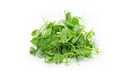 8 Propiedades y Beneficios del BERRO 🌿 para tu Salud y Cocina