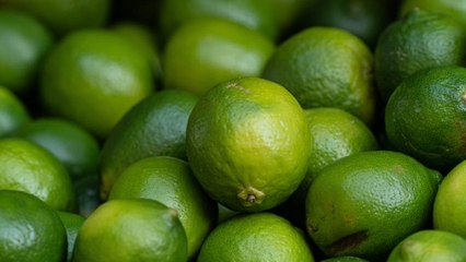 8 Propiedades y Beneficios de la LIMA ✅