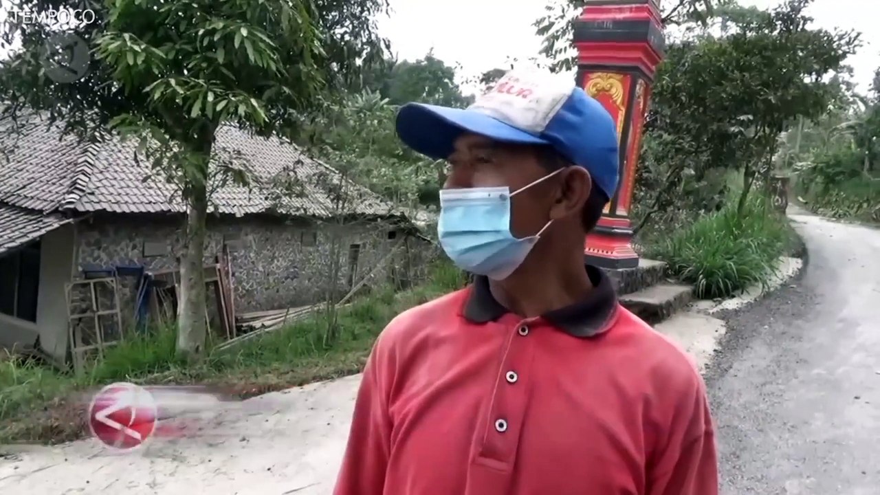 Petani di Klaten Terancam Gagal Panen Akibat Hujan Abu Vulkanik Erupsi Gunung Merapi