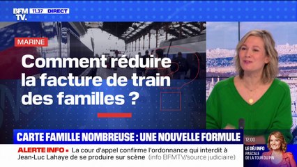 Comment réduire la facture de train des familles ? BFMTV répond à vos questions