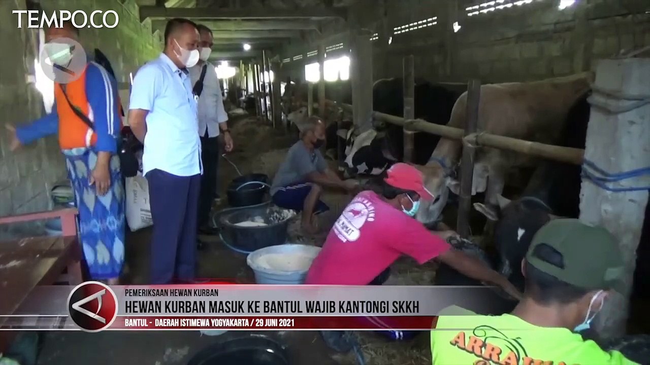 Bantul Wajibkan Hewan Kurban Kantongi SKKH