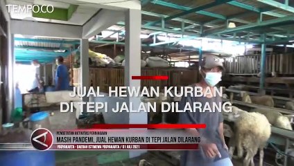 Pandemi Covid-19, Jual Hewan Kurban Dilarang di Tepi Jalan