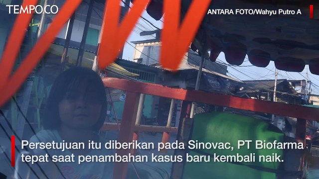 Vaksin Sinovac untuk Anak, Dua Guru Besar Singgung Hasil Uji dan Efek Samping