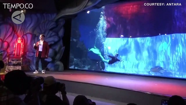 HUT RI Ke-76, Begini Pengibaran Bendera Merah Putih Raksasa di Dalam Air