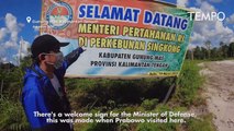 Deforestasi Food Estate Jokowi: Hutan Rusak, Banjir di Desa-Desa