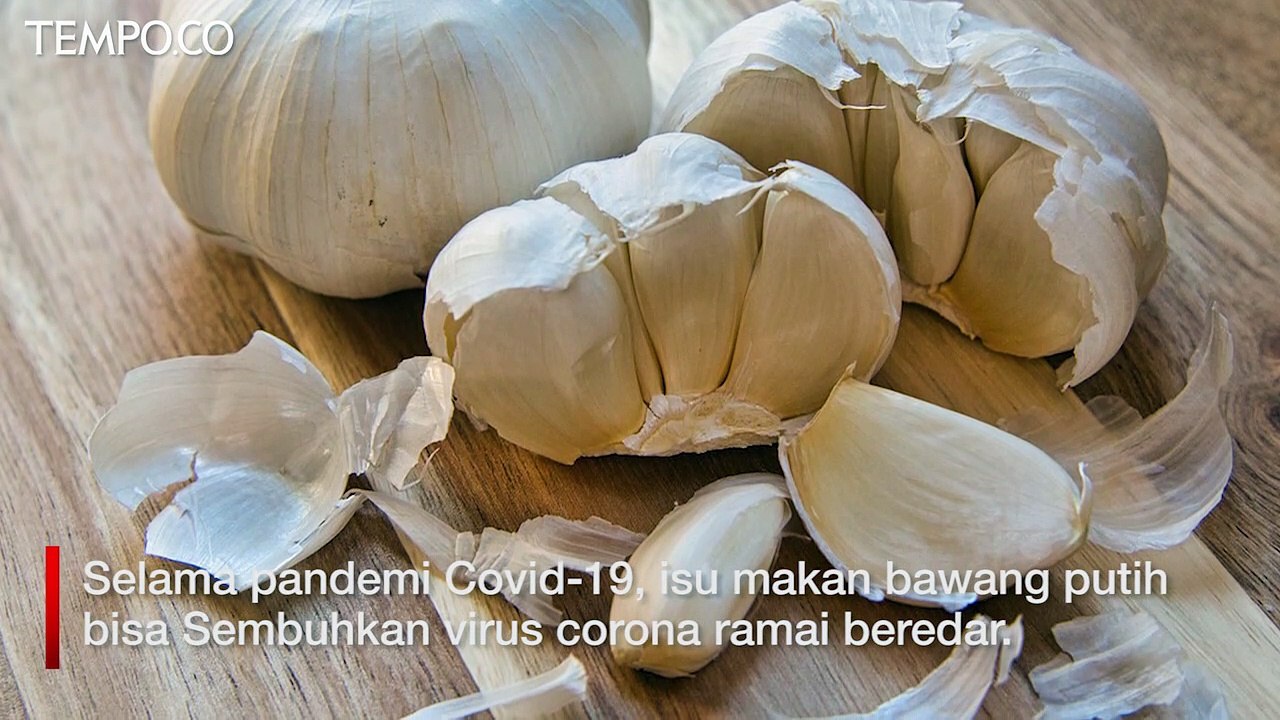 Viral Bawang Putih Bisa Sembuhkan Covid-19, Ini Faktanya