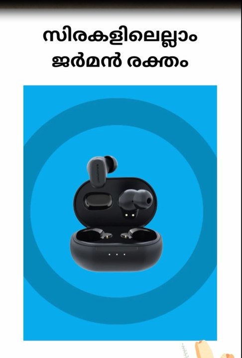 സിരകളിലെല്ലാം ജർമൻ രക്തം കിടിലൻ ഫീച്ചറുകളുമായി ബ്ലൌപങ്ട് BTW09 മോക്ഷ ഇയർബഡ്സ്