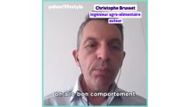 Christophe Brusset : 
