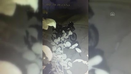 Ataşehir'de motosiklet hırsızlığı yapan zanlı tutuklandı