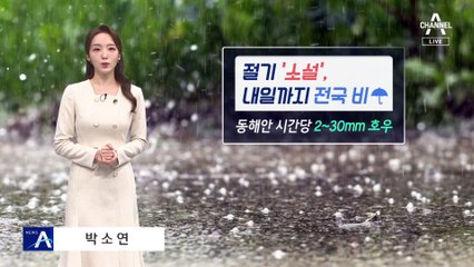 [날씨]동해안 최고 120mm↑…오늘 밤 시간당 2~30mm 호우