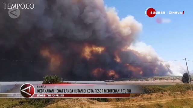Kebakaran Dahsyat Landa Hutan di Kota Resor Mediterania Turki
