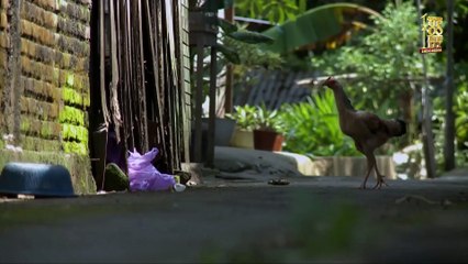 Gautama: Dukungan Keluarga Jadi Pilar Utama | Kisah Gautama Menjadi Grand Finalis SUCI X
