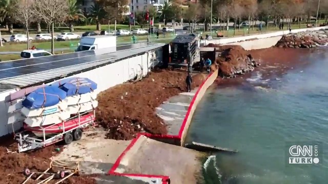 Lodos vurdu, Caddebostan Sahili'ni kırmızı yosunlar kapladı!