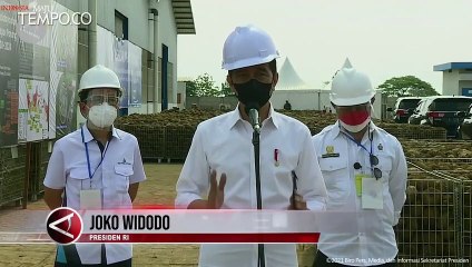 Ingatkan Jokowi Soal Demam Porang, Guru Besar IPB: Harga Bisa Jatuh