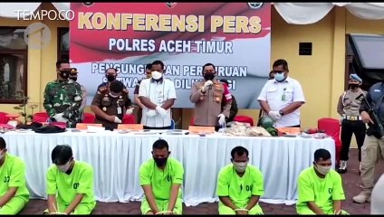 Polisi Ringkus Komplotan Pembunuh Gajah Liar di Aceh Timur