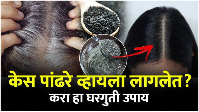 काळे केस पांढरे करण्यासाठी घरगुती उपाय | Black Hair Permanently | Reverse Grey Hair Naturally Premature Greying