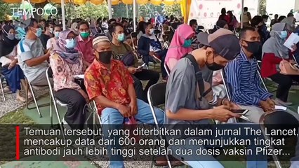 Antibodi Vaksin Pfizer, AstraZeneca, Bisa Menurun usai 2-3 Bulan: Studi Lancet