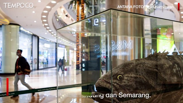 Posko Bencana Didirikan Imbas Puluhan Rumah Rusak Akibat Banjir Bandang Sigi