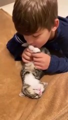 Cute baby playing with cat . cutest movement