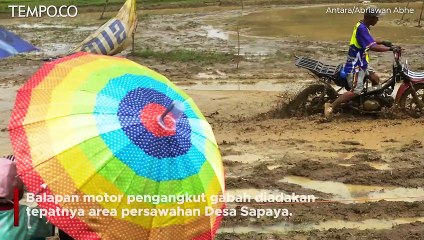 Momen Seru Balapan Motor Pengangkut Gabah di Gowa