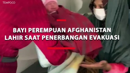 Sempat Mendarat di Kuwait, Bayi Perempuan Afghanistan Lahir Saat Penerbangan Evakuasi