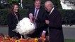 Joe Biden holds Thanksgiving 'turkey pardon' at the White House